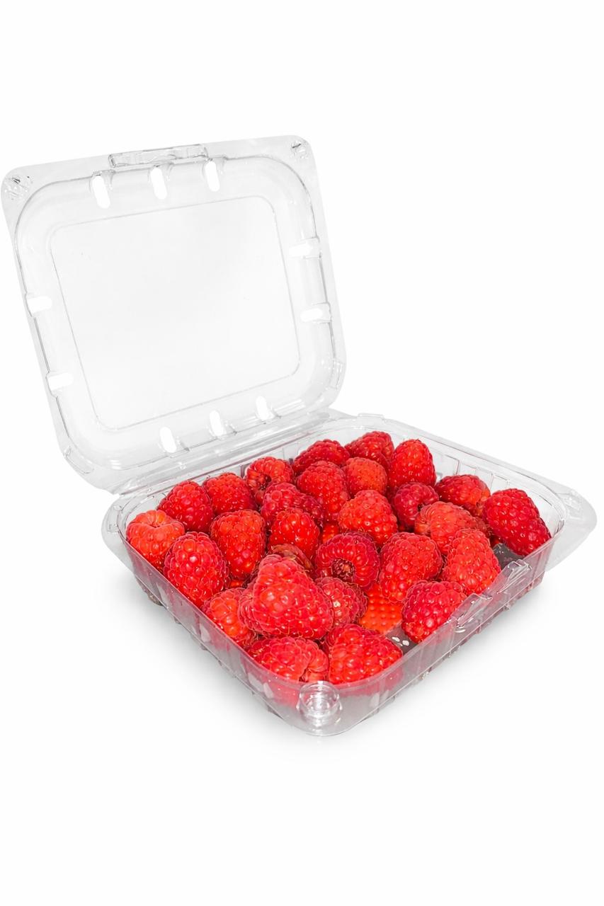 Frambuesas Berry House